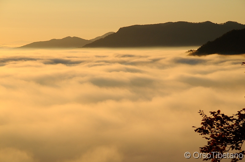 Alba sopra le Nuvole.jpg - NOVEMBRE 2011. Prime Luci del mattino al Passo dei Mandrioli. Parco Nazionale delle Foreste Casentinesi, una mattina d'Autunno.... sotto la coltre di nubi, la Vita è grigia, ma salendo in alto... su fin sopra le nubi, una splendida vista riempie gli occhi e scalda il cuore... - NOVEMBER 2011. First Light of morning at Mandrioli Pass. National Park of Casentino Forests, an Autumn morning.... under the blanket of clouds, Life is gray, but going up... on up above the clouds, a beautiful view fills the eyes and warm the heart...